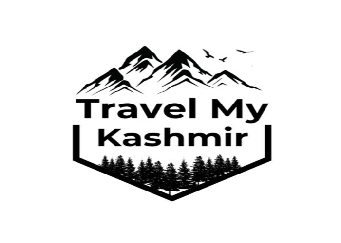 Kashmir Cab Service by Travel My Kashmir